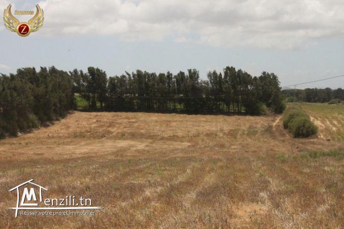 à vendre 35000 m² à El Haouaria