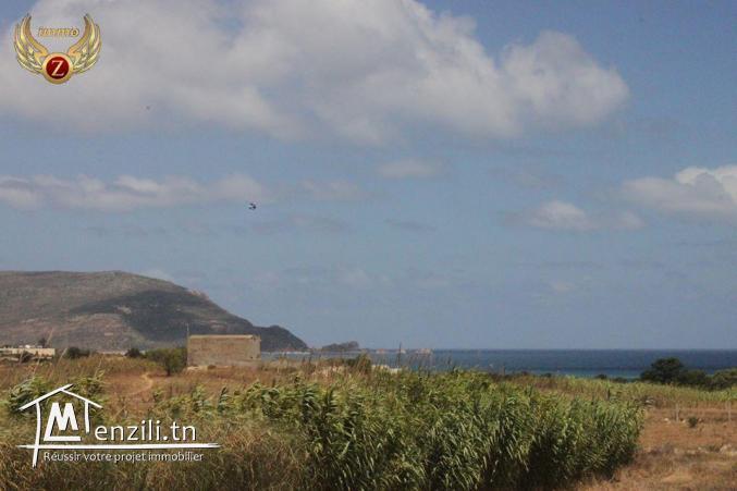 à vendre 35000 m² à El Haouaria