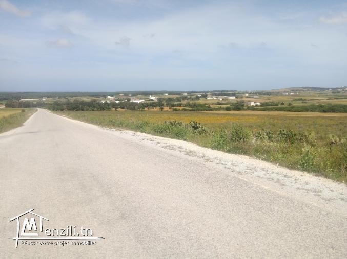 vendre un terrain de superficie 9000 m² à kélibia