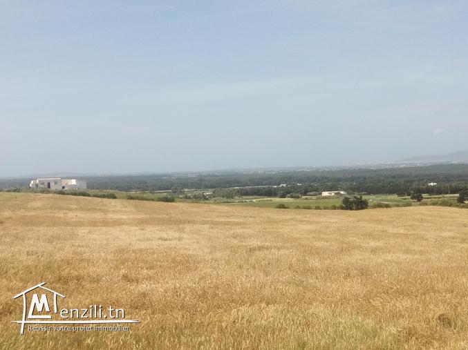 vendre un terrain de superficie 9000 m² à kélibia