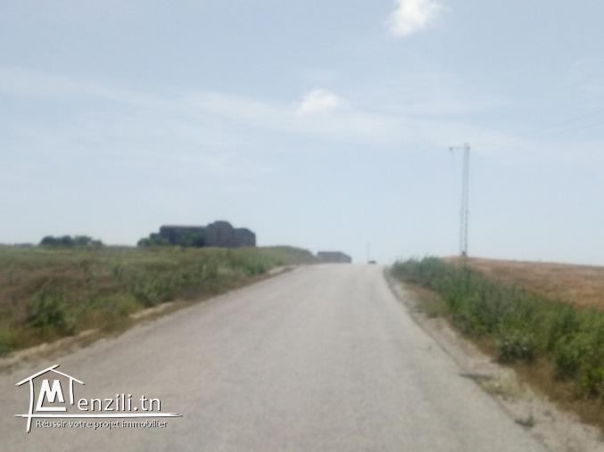 vendre un terrain de superficie 9000 m² à kélibia