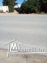 vendre un terrain de 288.5 m2