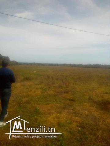 vendre un terrain de 288.5 m2