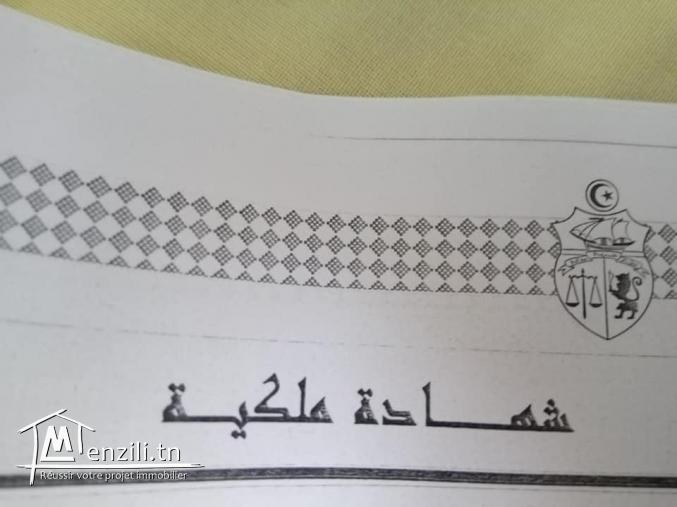 vendre un terrain de 288.5 m2