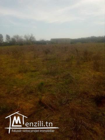 vendre un terrain de 288.5 m2