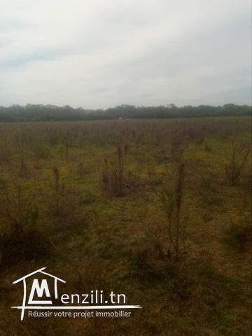 vendre un terrain de 288.5 m2