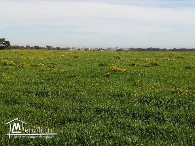 vendre un terrain de 19_hectares