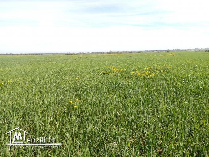 vendre un terrain de 19_hectares