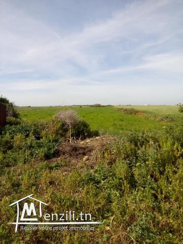 vendre un terrain de 19_hectares