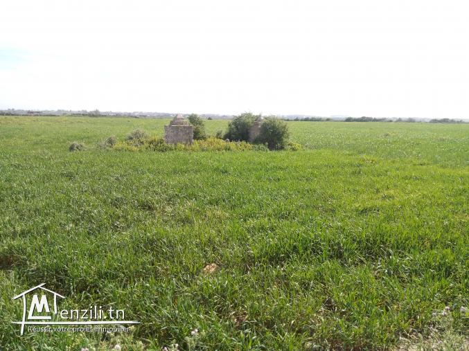 vendre un terrain de 19_hectares
