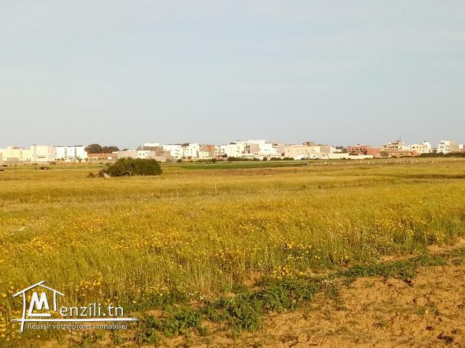 vendre un terrain de superficie 489 m²