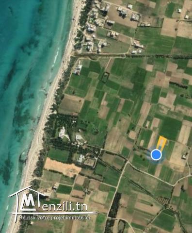 vendre un terrain de superficie 489 m²