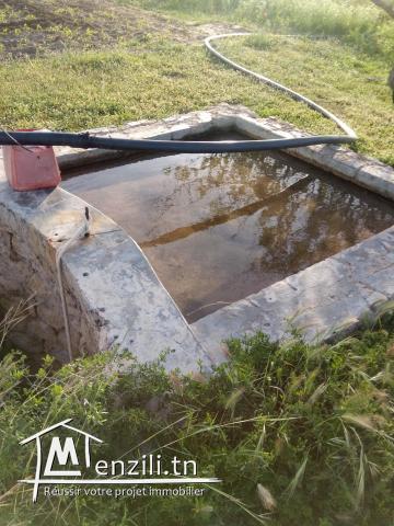 vendre un terrain de superficie 489 m²