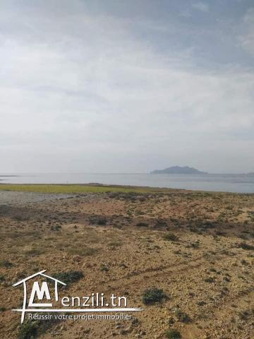 vendre un terrain 38000 m2