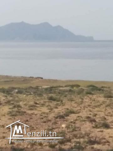 vendre un terrain 38000 m2