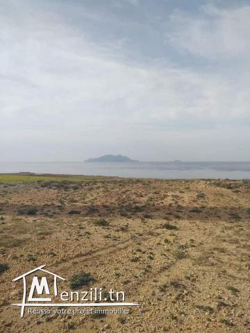 vendre un terrain 38000 m2