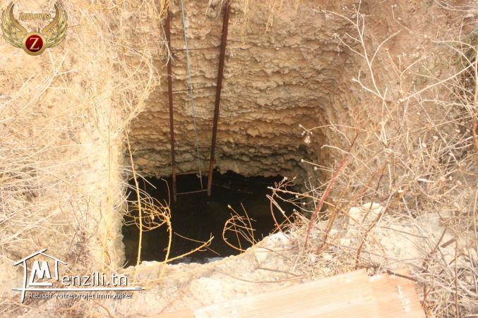 à vendre des terrains dans un nouveau lotissement à Dar Allouche