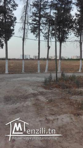 a vendre deux lot de 450 et 400  m2