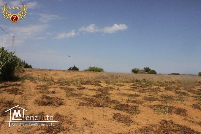 à vendre à El Haouaria 6 hectares