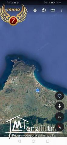 à vendre à El Haouaria 6 hectares