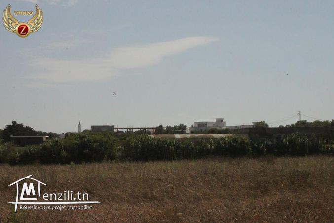 à vendre à El Haouaria 6 hectares