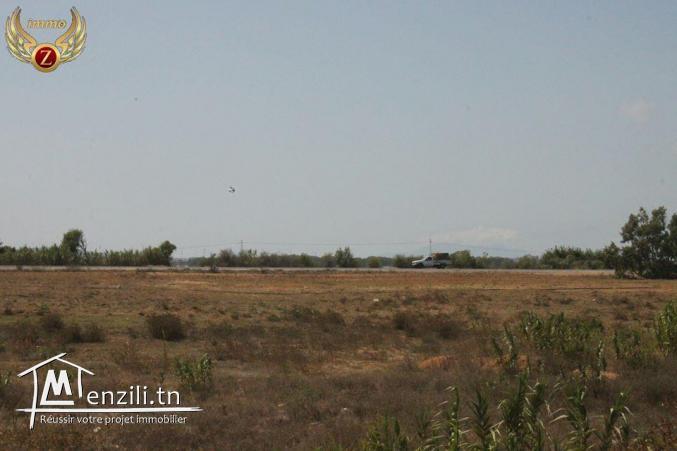 à vendre à El Haouaria 6 hectares