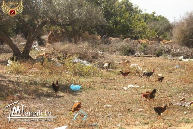 vendre un Terrain à bâtir 1350 m2