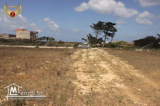 à vendre deux terrains de superficie 300/300 m² à Dar Allouch