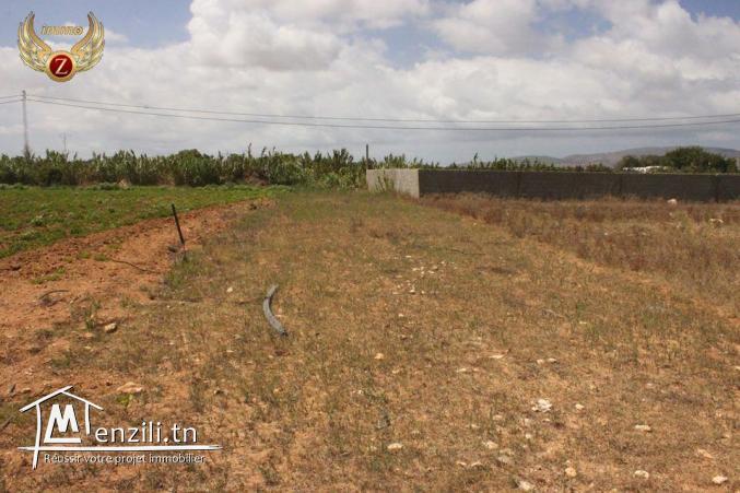 à vendre deux terrains de superficie 300/300 m² à Dar Allouch