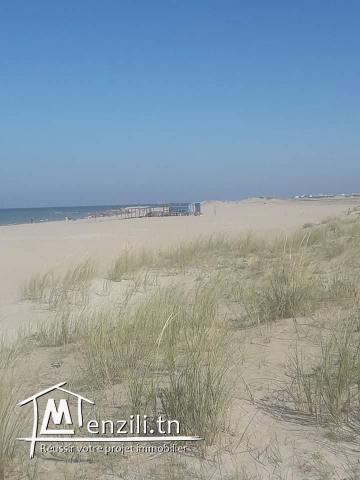 قطعة أرض في دار علوش_قليبية مساحتها 150 م²