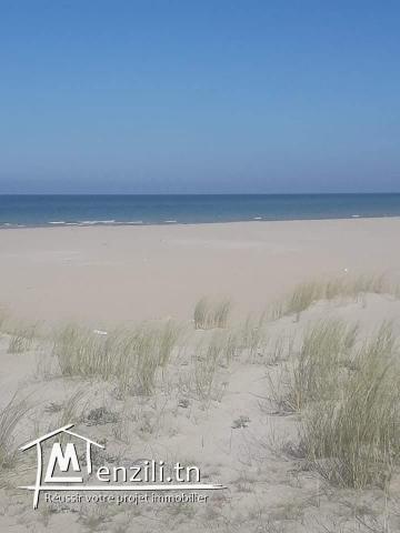 قطعة أرض في دار علوش_قليبية مساحتها 150 م²