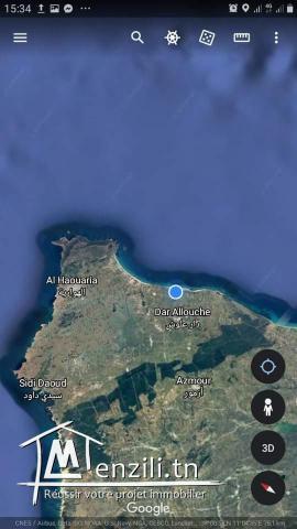 قطعة أرض في دار علوش_قليبية مساحتها 150 م²