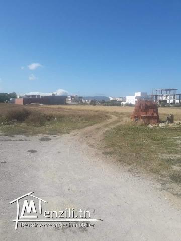 قطعة أرض في دار علوش_قليبية مساحتها 150 م²