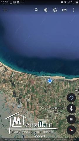 قطعة أرض في دار علوش_قليبية مساحتها 150 م²