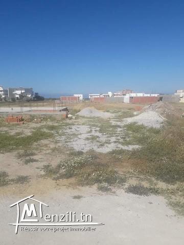 قطعة أرض في دار علوش_قليبية مساحتها 150 م²