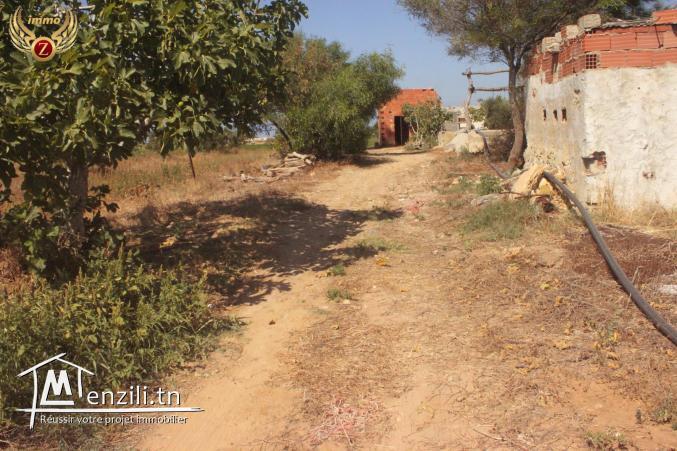 à vendre un terrain de superficie 250 m² à Kélibia