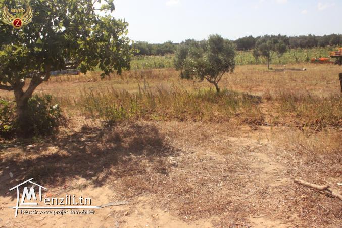 à vendre un terrain de superficie 250 m² à Kélibia