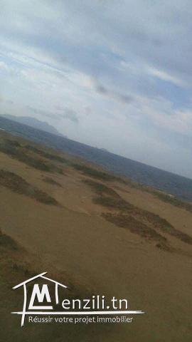 vendre un terrain  à El Haouaria