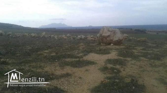 vendre un terrain  à El Haouaria