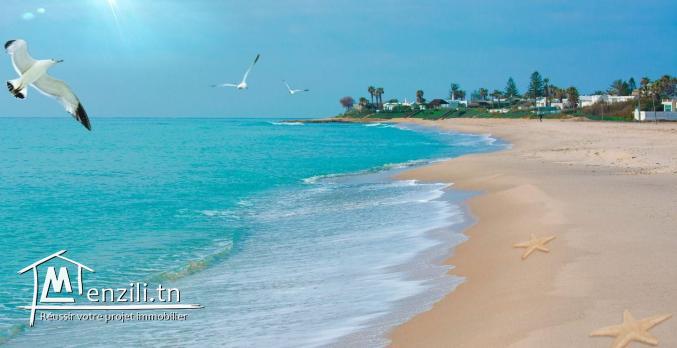 A vendre terrain de 462 m2 à Maamoura (Nabeul) pour 580 D le m2