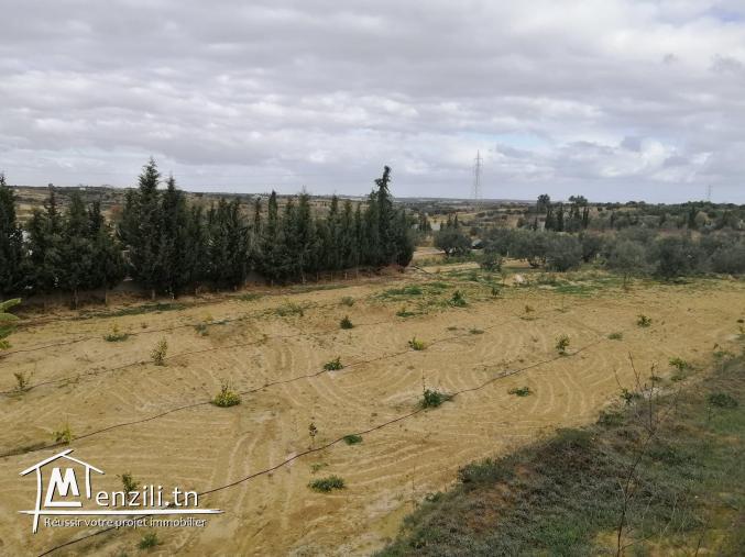 terrain agricole a vendre sousse avec maison .....
