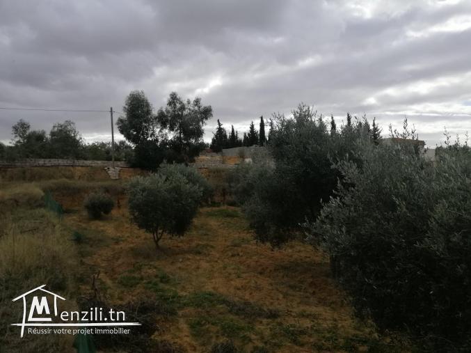 terrain agricole a vendre sousse avec maison .....