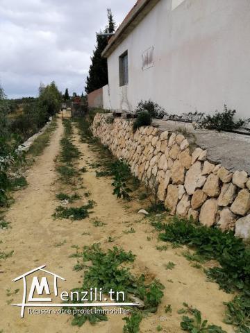 terrain agricole a vendre sousse avec maison .....