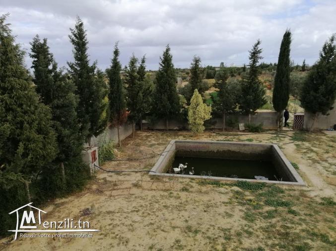 terrain agricole a vendre sousse avec maison .....