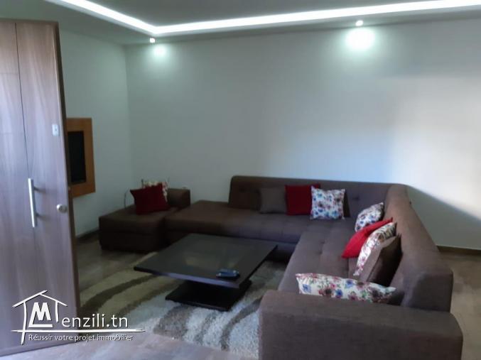 Un appartement luxueux et bien meublé