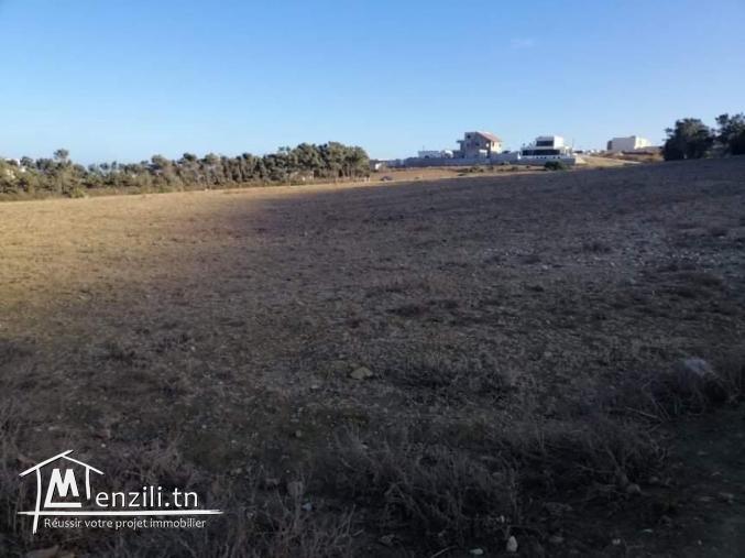 Terrain a el haouaria plage