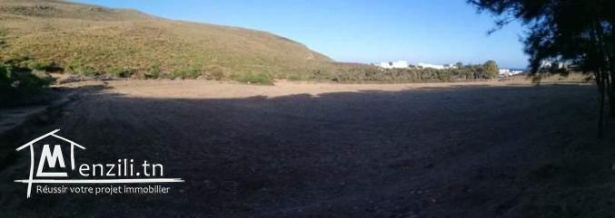 Terrain a el haouaria plage