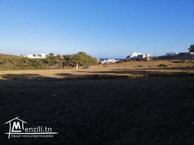 Terrain a el haouaria plage