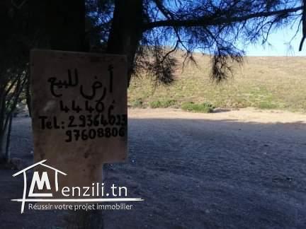 Terrain a el haouaria plage