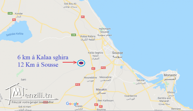 Maison à vendre contactez 53490876